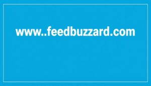 www. feedbuzzard com